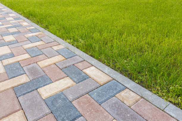 Best Local Driveway Pavers  in Kingwood, WV